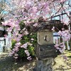 【京都】【御朱印】『大歳神社』に行ってきました。 京都観光 そうだ京都行こう 