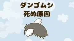 ダンゴムシの死因一覧｜死ぬ原因と飼育方法を解説