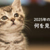 2025年の春ドラマは何を見ていますか？