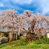 スペーシアXのコックピットラウンジ、コンパートメントに乗って日光桜回遊の旅