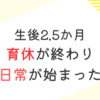 育児日記　生後2.5か月　育休が終わり　日常へ