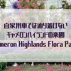 自家用車では辿り着けないキャメロンハイランドの楽園「Cameron Highlands Flora Park」