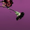John Legend - You & I (Nobody In The World)　歌詞和訳