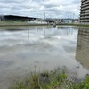 雨が降る前に田植えを進めないとです。