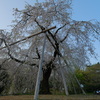 梅雨明け？　暑い