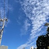 角煮と風邪気味