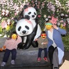 上野動物園🐼