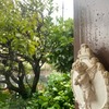 雨の日　義父母を支えているのか