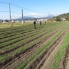 露地栽培野菜の衰退ー「多品目栽培・高集約型農業」