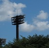 気象予報士とプロ野球からの求人