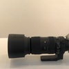 テレ端の解像度は値段から考えたら驚愕のレベル！SIGMA 60-600mmの実力！