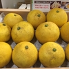 文旦（ぶんたん）入荷しました🍊