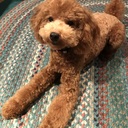 anna2018’s blog