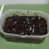 オレオを使ってチョコケーキをつくってみました