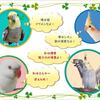 我が家のワカケイインコとオカメインコです。