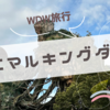 【WDW旅行記】アニマルキングダム編！攻略必須のアバターエリアとここでしか会えないサファリミッキー＆ミニー