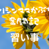 【発達障害】子供の習い事ランキング★第一位★のスイミングスクールに体験に行きました