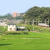 讃岐府中駅で予讃線を走る特急アンパンマン列車を撮影