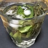 水出しレモンバーム茶で一献と