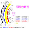 そもそもOPLLとは何ぞや①