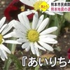 東日本大震災１１年　東北からの白い花に熊本地震の遺族祈り捧げる    