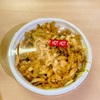 新宿区歌舞伎町の「レイスケバブ 新宿店」でケバブ丼（大盛）