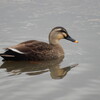 2026-02-10(Tue)