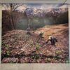 東京都写真美術館「今森光彦　にっぽんの里山」