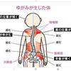 難聴は肩の歪みから。。