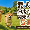 愛犬と泊まれる関東のホテル・旅館おすすめ5選｜犬連れ歓迎・全室OK