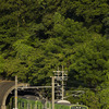 大和路線　201系　その１
