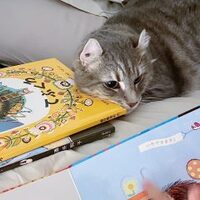 smile5の僕のアンテナ