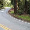 Redwood Gulch Rd.