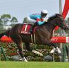 競馬初心者必見☆馬券予想🔥〜ローズS〜2年連続優勝ジョッキーに期待‼️〜