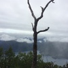 超初級者の男体山
