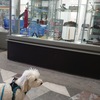 1. ナイフの世界店で人気リビチカナイフ