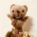 ずぼらさんの生活レシピ