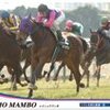 牝馬最強決定戦！エリザベス女王杯、エリ女はこう買え！