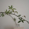 長丁場
