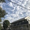 雲