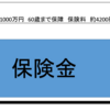 保険に入る前に知っておきたい３つの生命保険の違いとは！？