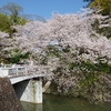 駿府城桜行脚2024　～外堀の桜も楽しみます～