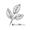 「小さな暴れん坊」に操られる私の・・・更年期症状　