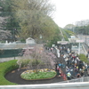 一瞬の景色１９－飛鳥山公園
