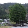 １５日「水田ブルー」田植え準備万端！