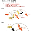 ビッグ・トップを掘り下げ！！