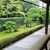 【京都散歩　季節の花】3　妙心寺　法堂　迷路のような塔頭エリア　まだ建設中の養徳院　苔寺・桂春院　【京都市右京区】　2026年7月19日Sun