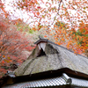 石の寺「教林坊」の紅葉、侘び・さびのかくれ里へ。