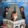 「ひとりぼっちのクリスマス（All Alone on Christmas）」ダーレン・ラヴ（1992）