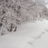 これから登って行く尾根の雪庇を眺めました